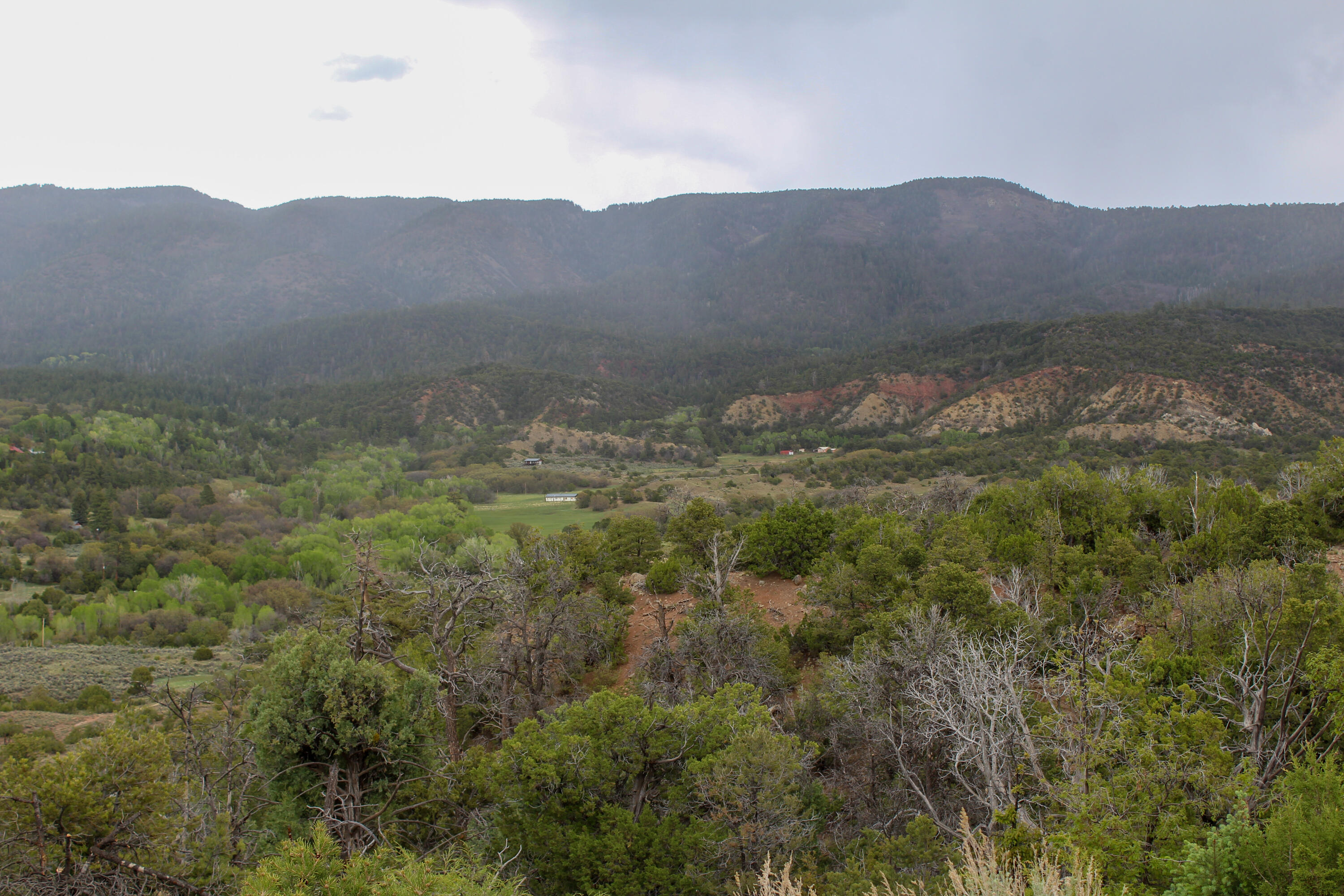 200 County Road Cuba, NM 87013 - Photo 39 of 70 Gallery Image 39