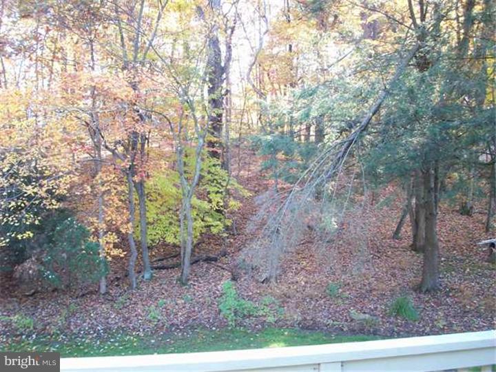 176 Glen Riddle Road Media, PA 19063 - Photo 22 of 24 View in Back