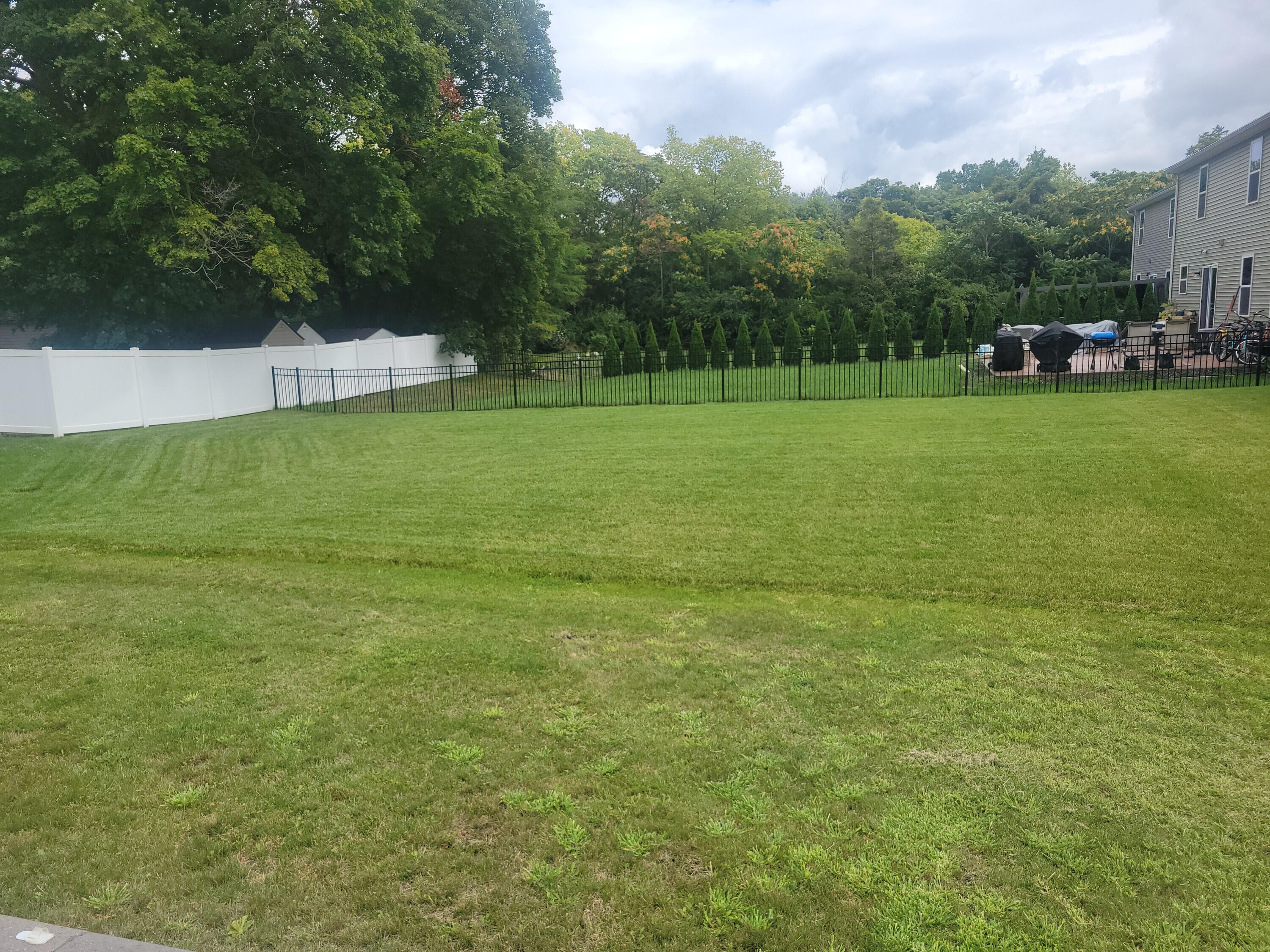 6035 Ravine Court Ypsilanti, MI 48197 - Photo 45 of 48 MLS42_Back_Yard