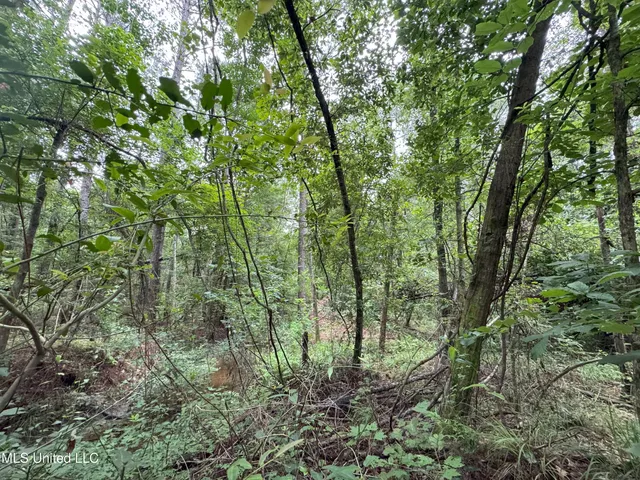 $61,620 | 32531 Chapel Pine Drive, Independence, LA 70443