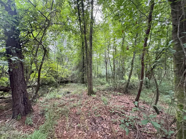 $61,620 | 32531 Chapel Pine Drive, Independence, LA 70443