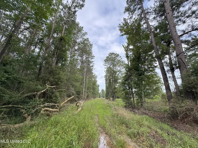 $61,620 | 32531 Chapel Pine Drive, Independence, LA 70443