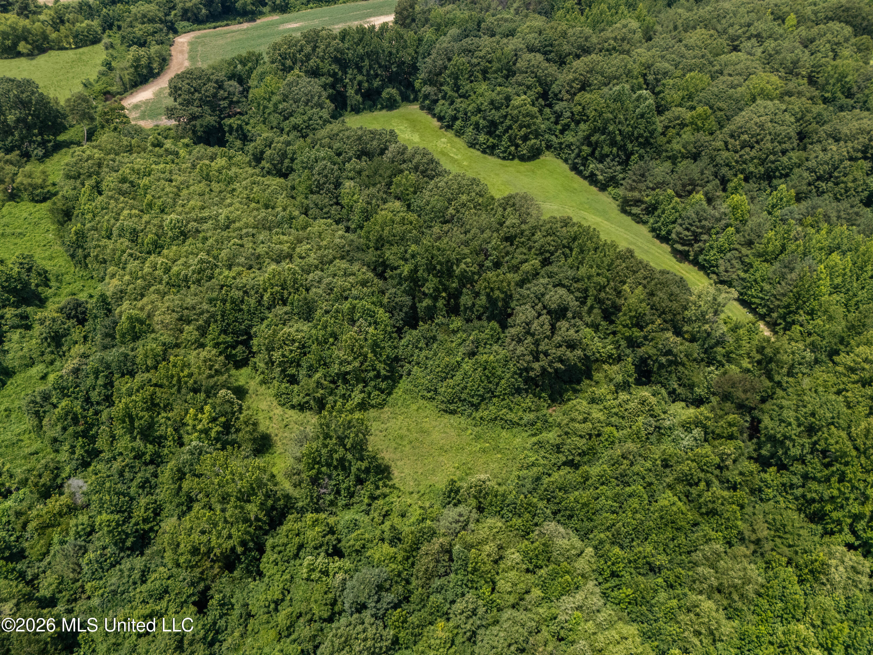 0 Freeman Drive Coldwater, MS 38618 - Photo 11 of 15 dji_20260701124613_0105_d_print