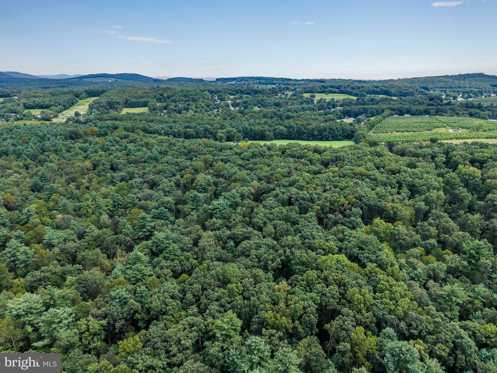 392 Peach Glen Road Gardners, PA 17324 - Photo 29 of 72 a view of a lush green forest with trees in the background