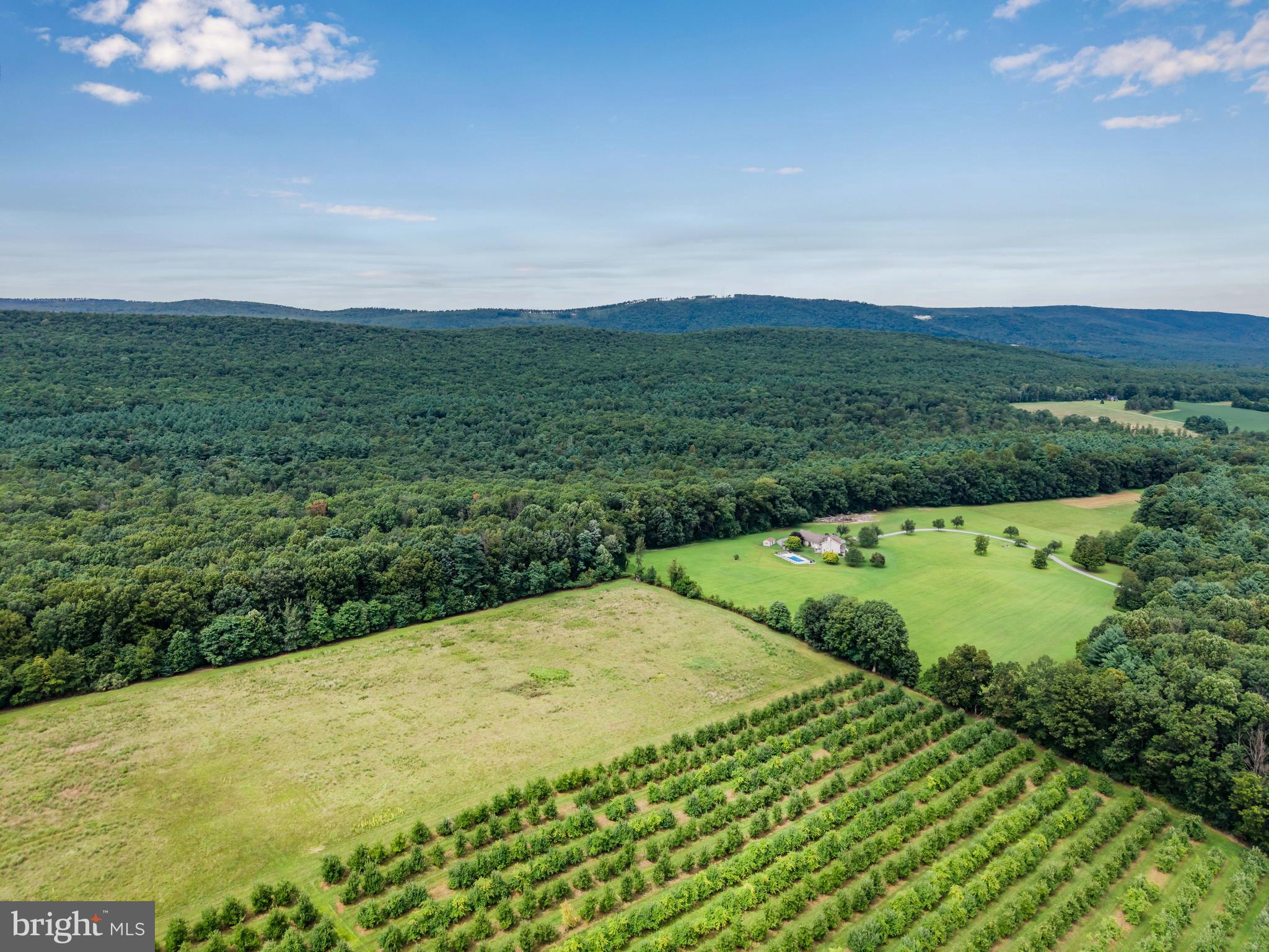 392 Peach Glen Road Gardners, PA 17324 - Photo 32 of 72 a view of a big yard with large trees