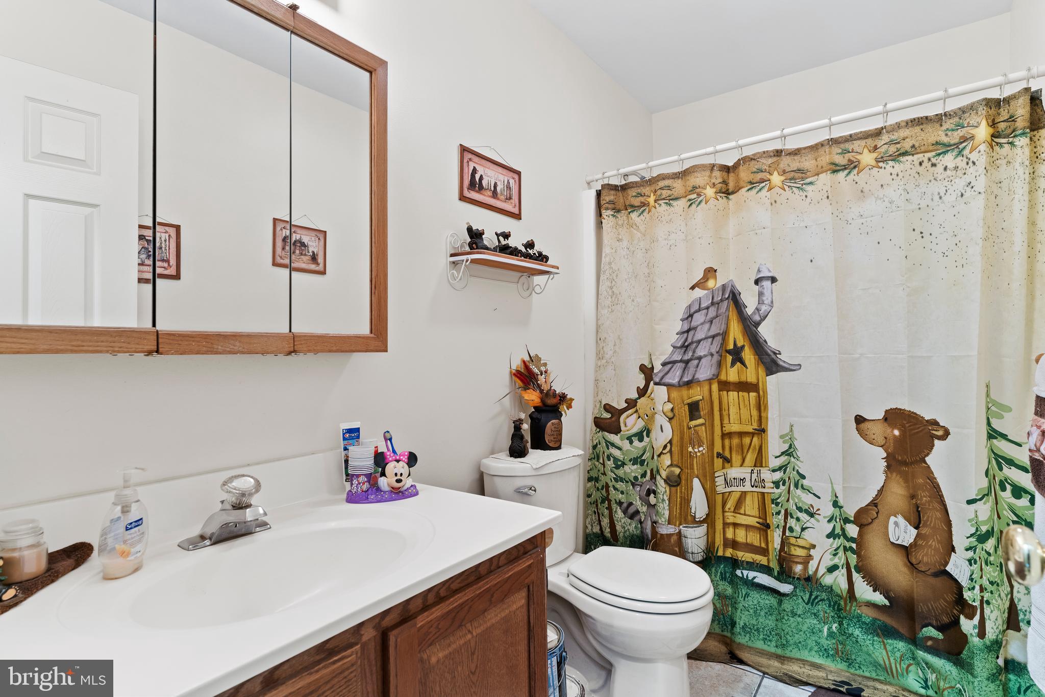 392 Peach Glen Road Gardners, PA 17324 - Photo 56 of 72 a bathroom with a sink mirror and toilet