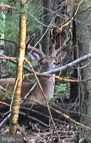 $2,150,000 | 392 Peach Glen Road, Gardners, PA 17324