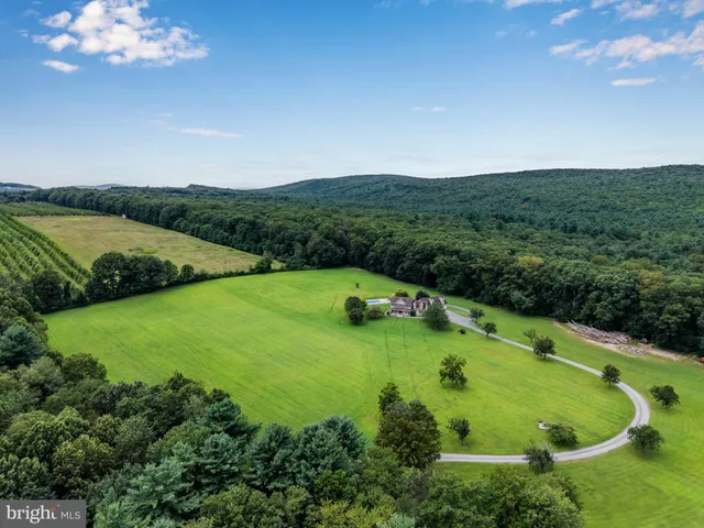 a green field with lots of green space