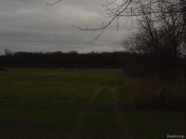 10335 North Holly Road Holly, MI 48442 - Photo 17 of 19 YOUR OWN HUNT CLUB