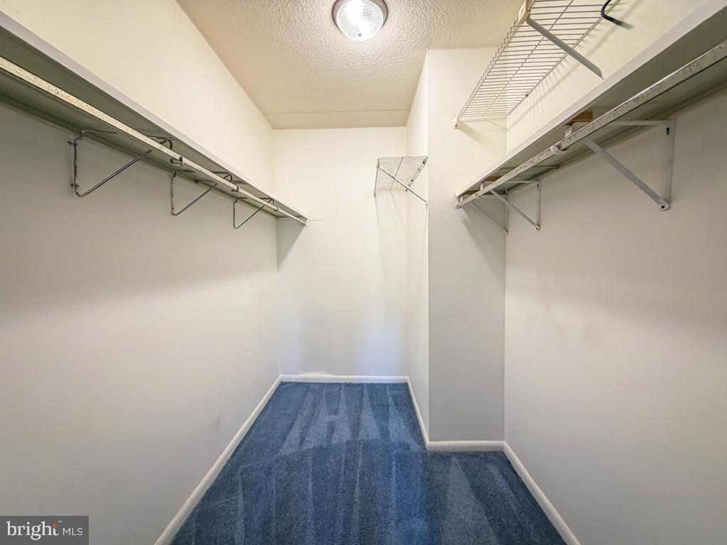 6105 Delaire Landing Road, Unit 105 Philadelphia, PA 19114 - Photo 23 of 39 Bedroom walk in closet