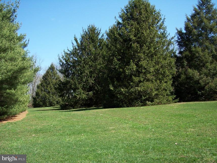 560 Blue Lake Road Denver, PA 17517 - Photo 21 of 27 a view of green field with trees in the background