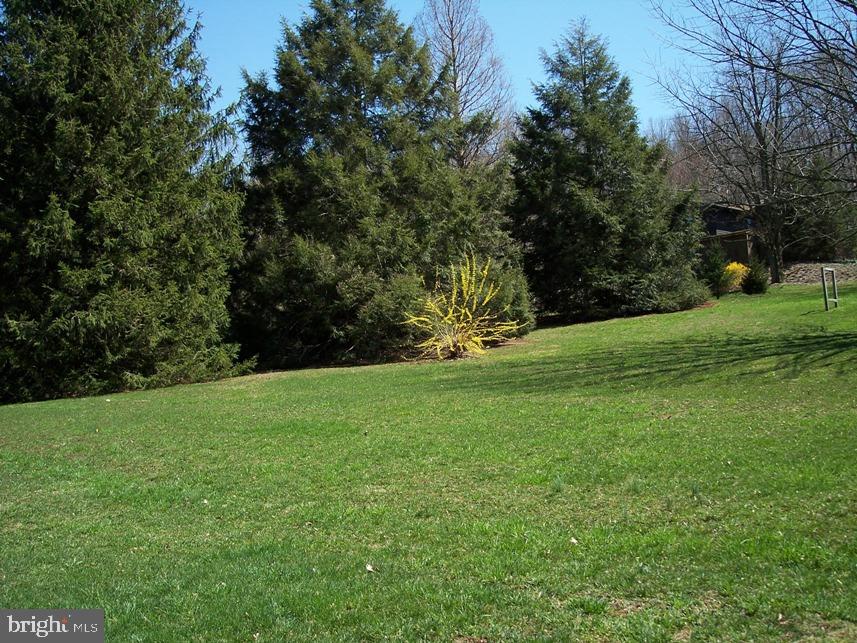 560 Blue Lake Road Denver, PA 17517 - Photo 23 of 27 a view of a field of grass and trees