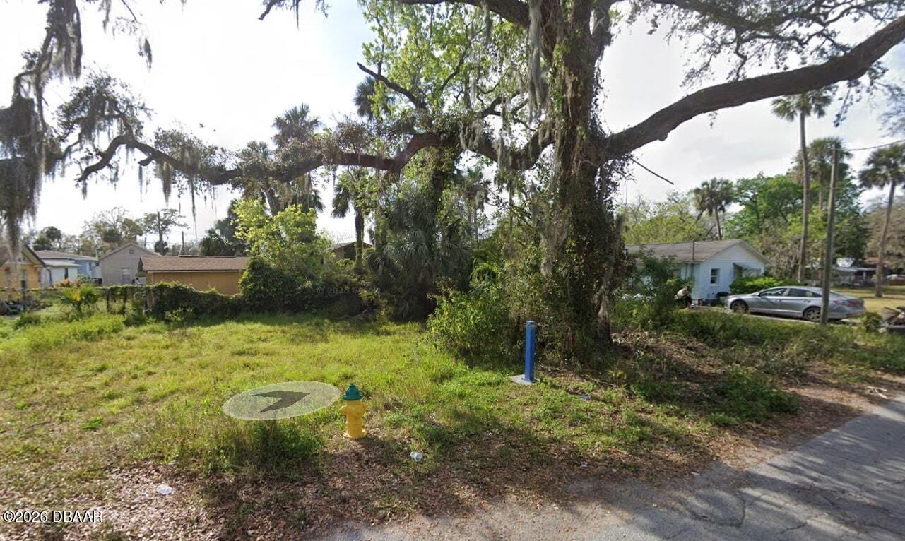 Tbd Division Street Daytona Beach, FL 32114 - Photo 4 of 4 a view of a yard with large trees