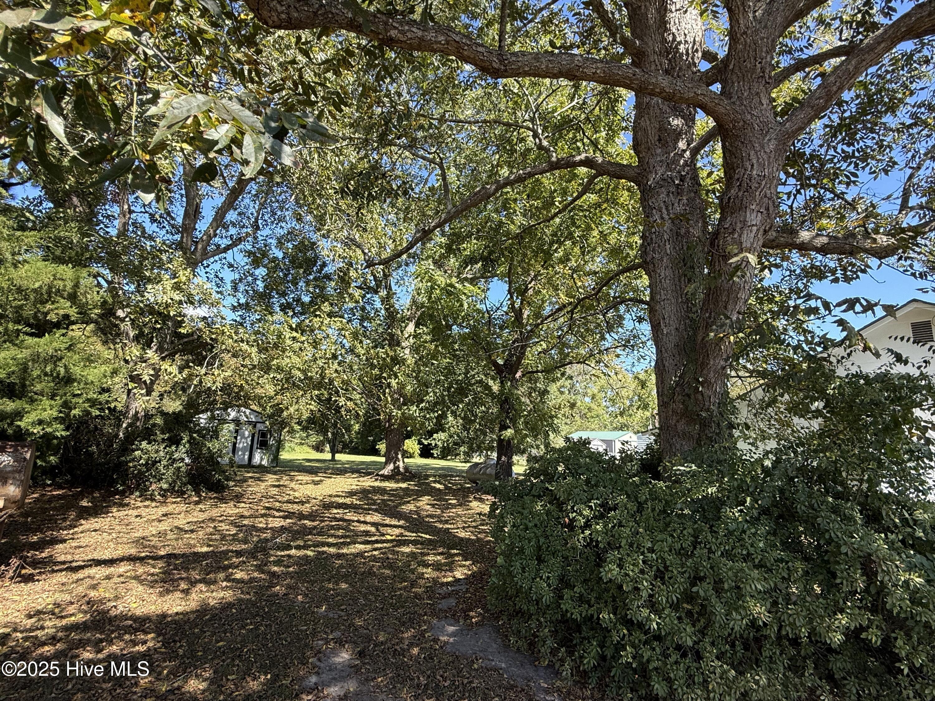 3073 Sound Side Road Columbia, NC 27925 - Photo 1 of 3 Mature Hardwood Trees