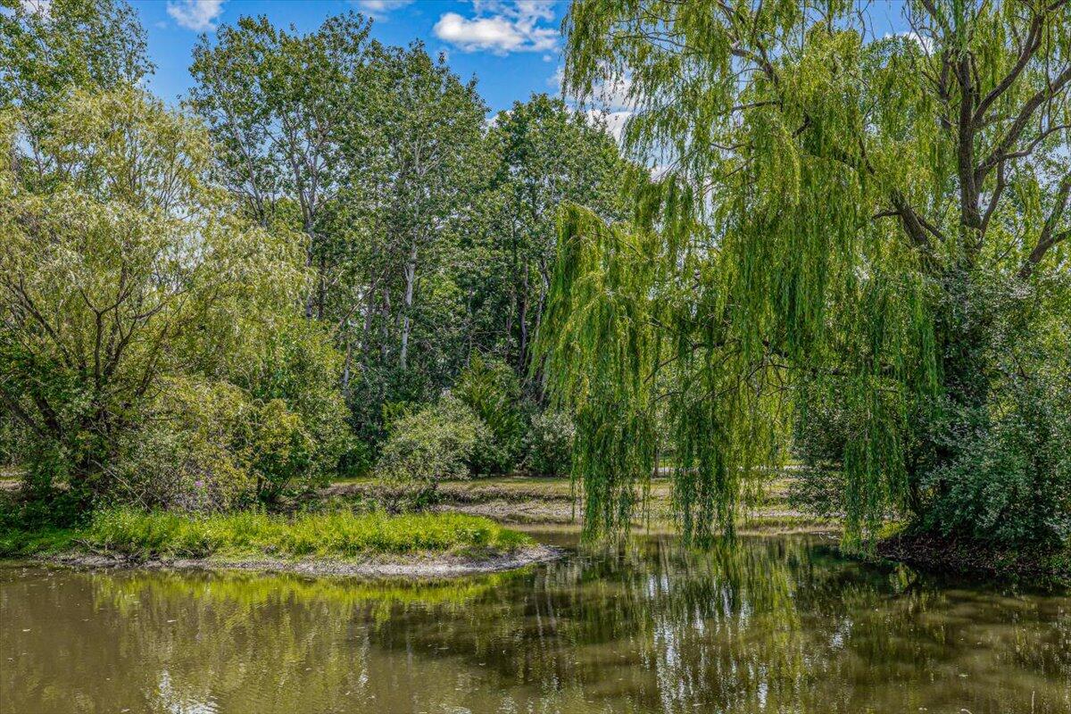 16980 South Schwark Road Three Oaks, MI 49128 - Photo 59 of 68 Pond