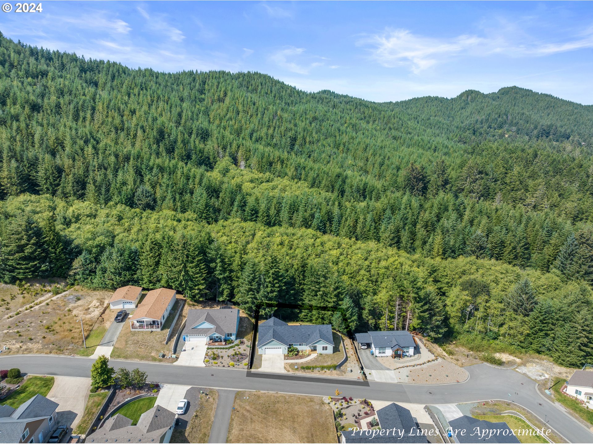 470 Providence Drive Reedsport, OR 97467 - Photo 38 of 41 an aerial view of a house with mountain view