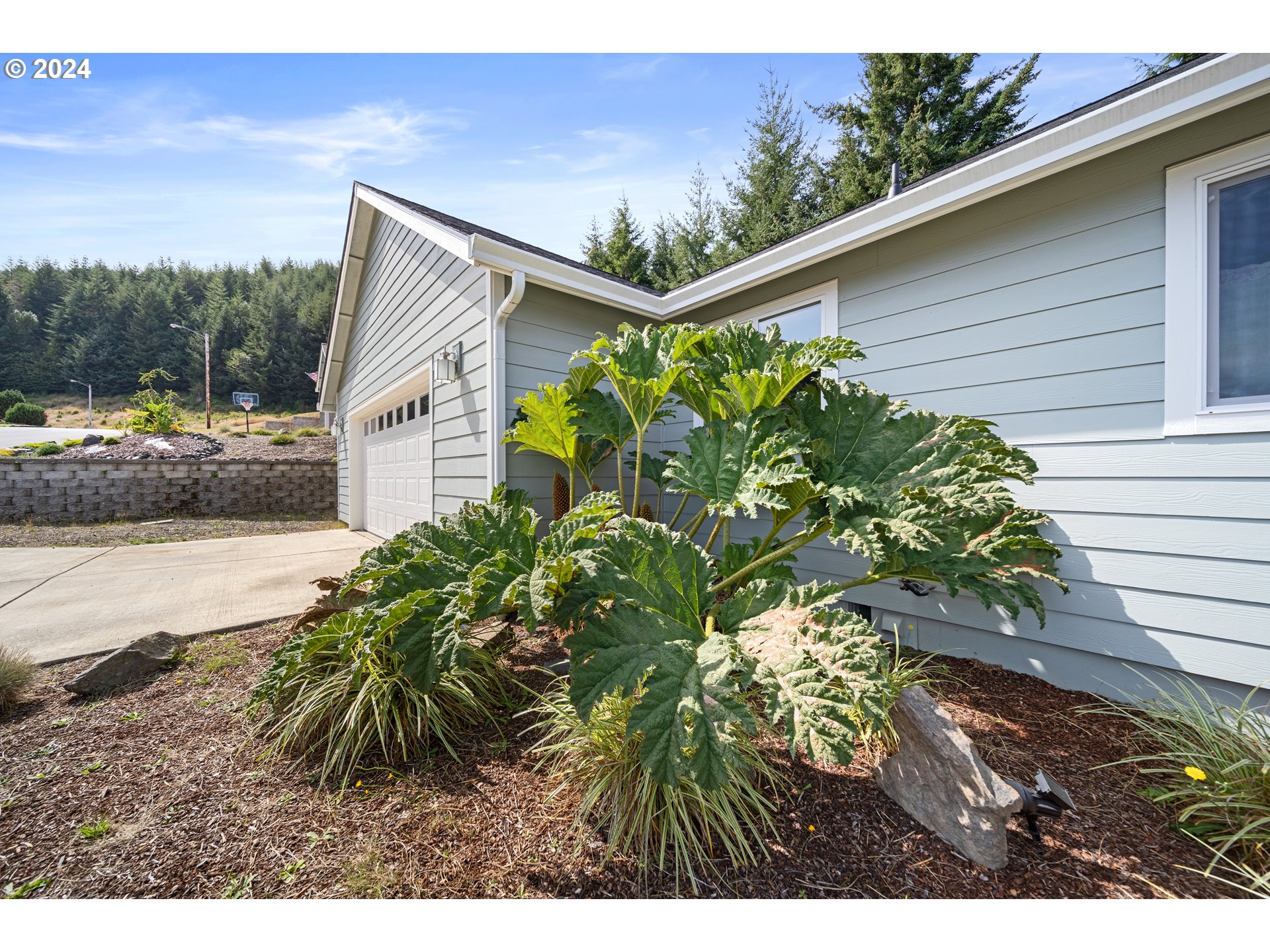 470 Providence Drive Reedsport, OR 97467 - Photo 4 of 41 a backyard of a house with lots of green space