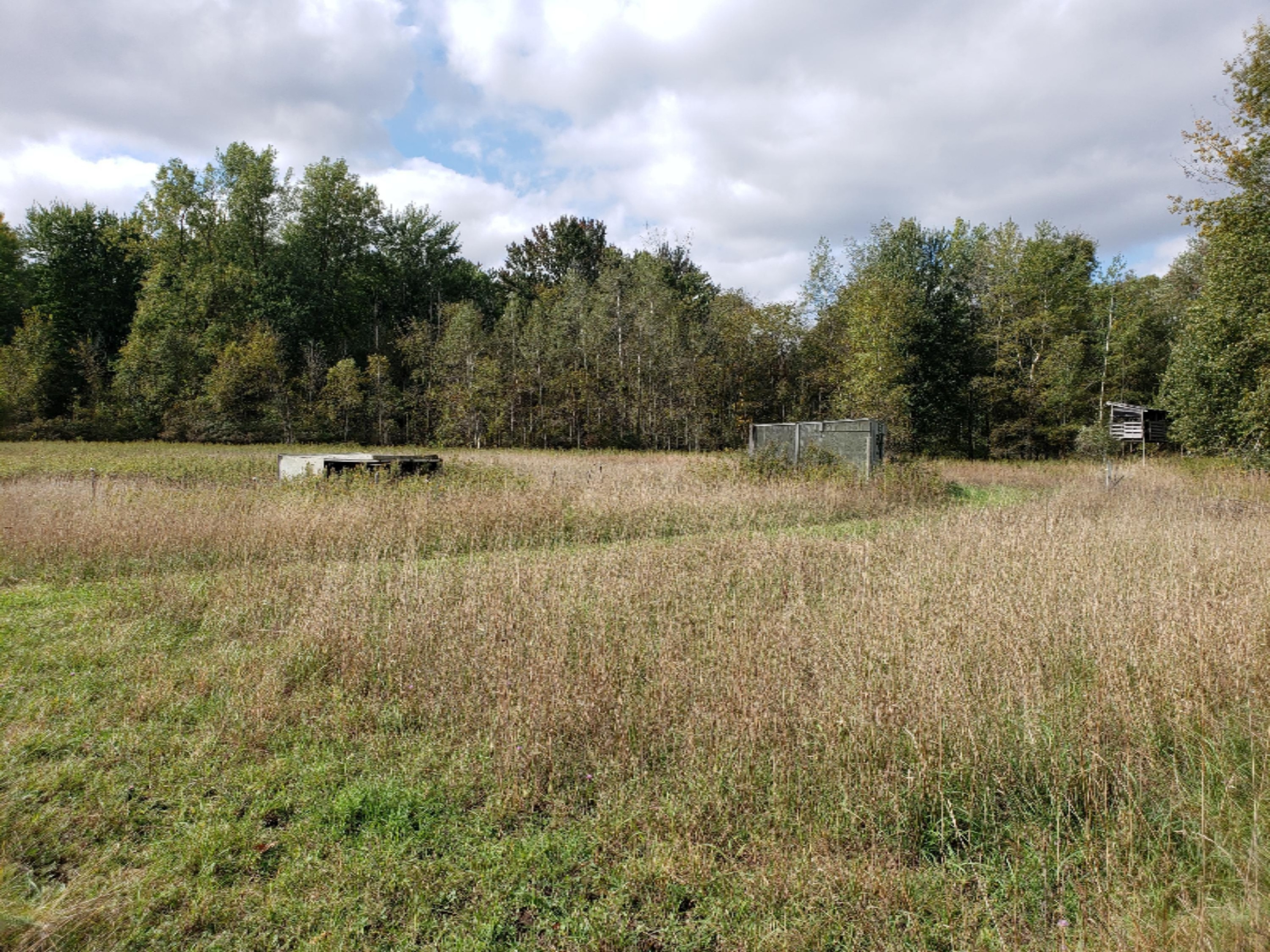 2650 East County Line Road Crystal, MI 48818 - Photo 11 of 15 20191005_120936