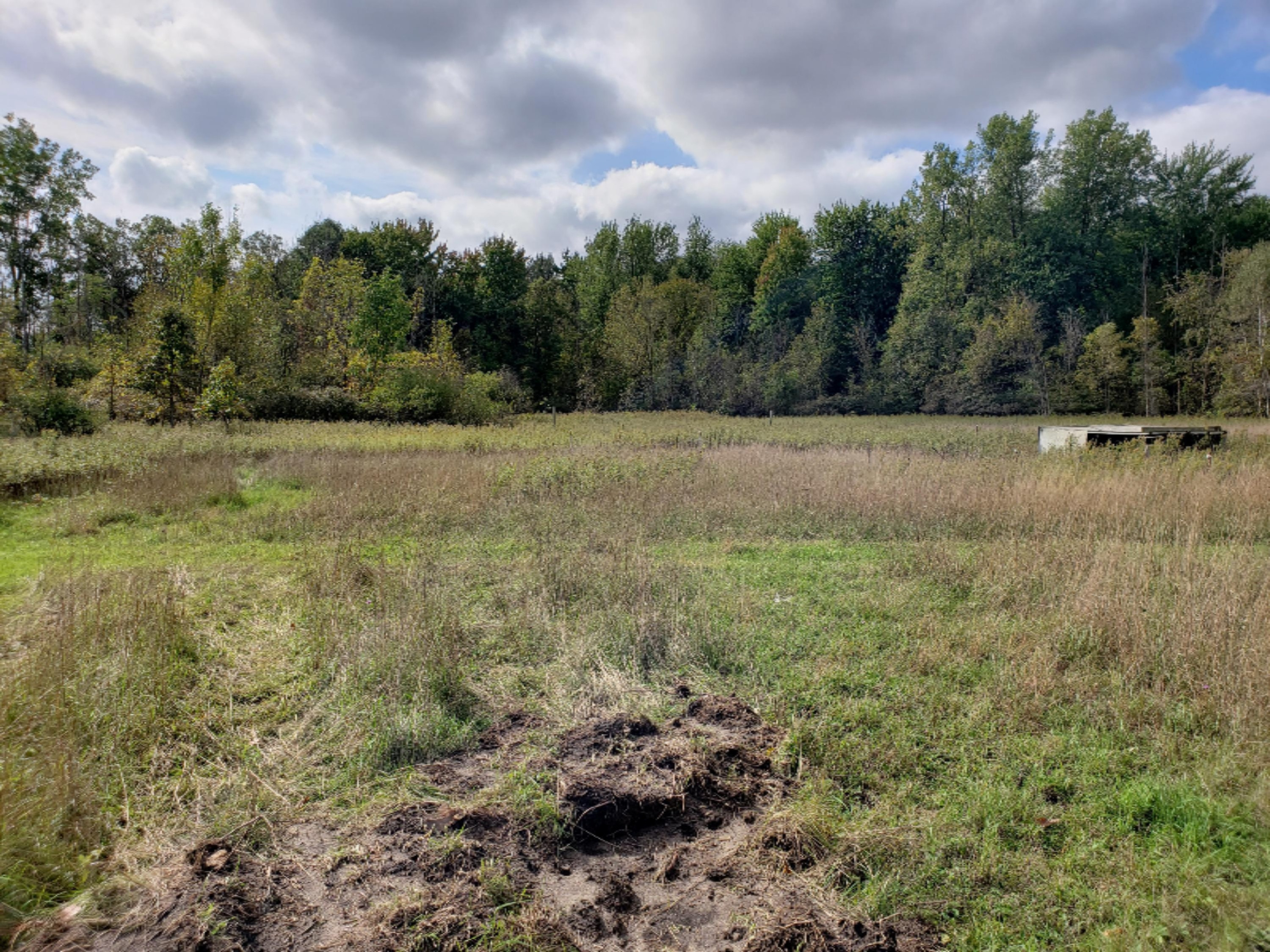 2650 East County Line Road Crystal, MI 48818 - Photo 12 of 15 20191005_120942