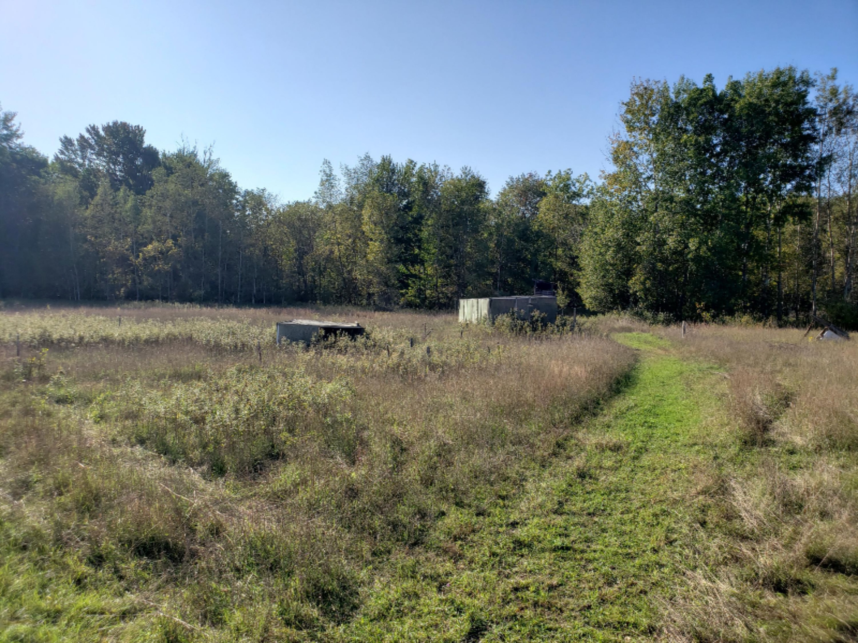 2650 East County Line Road Crystal, MI 48818 - Photo 15 of 15 20191006_163013
