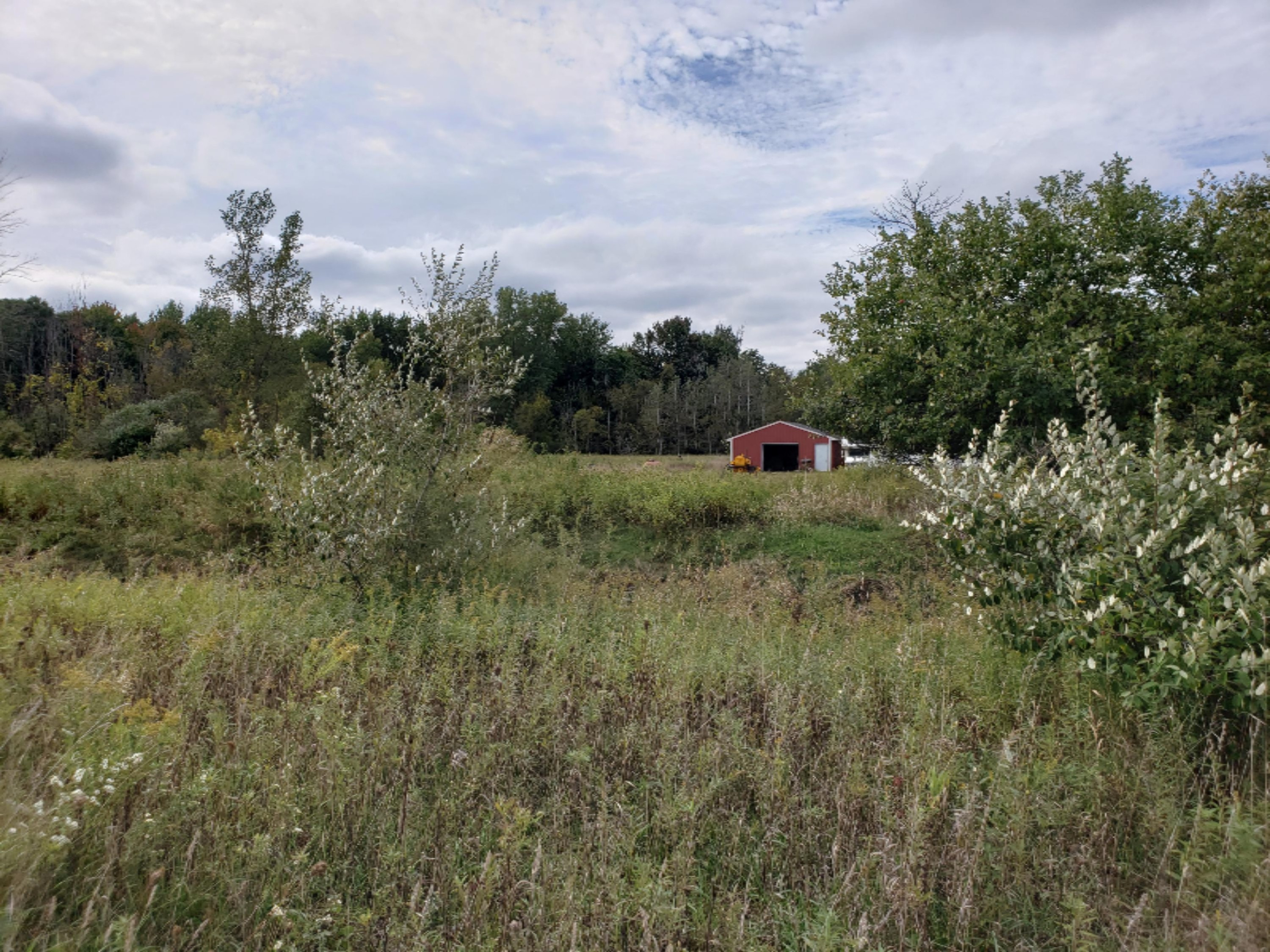20191005_140906