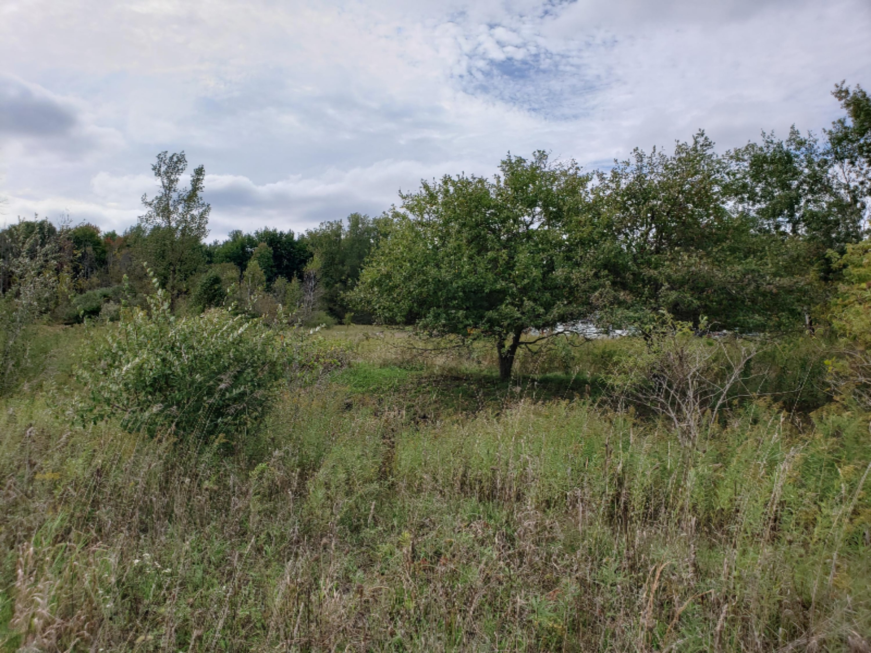 20191005_140846