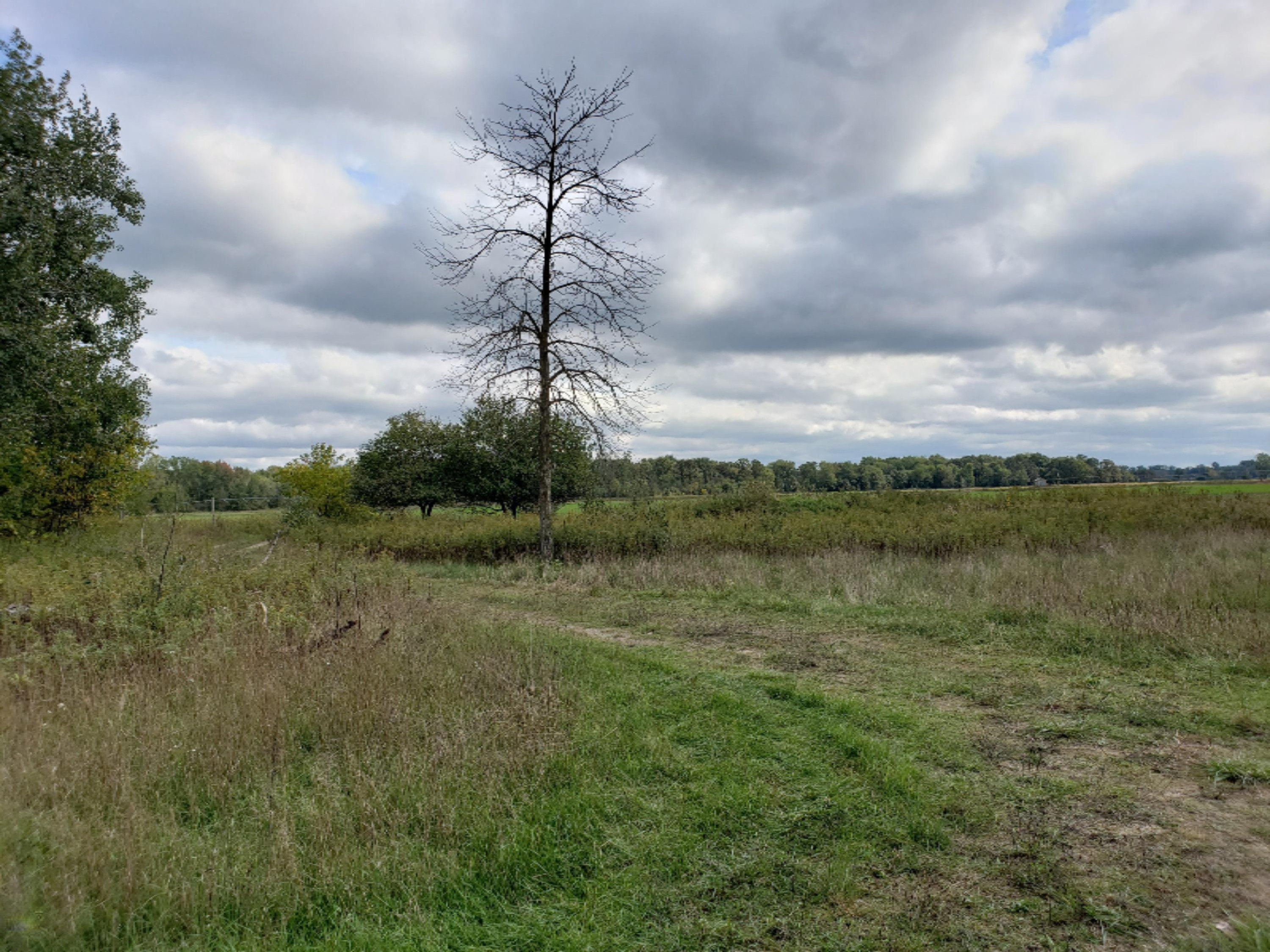 2650 East County Line Road Crystal, MI 48818 - Photo 8 of 15 20191005_123807
