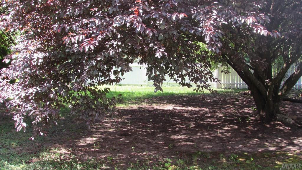 237 Wildcat Road Edenton, NC 27932 - Photo 25 of 28