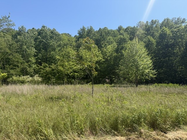 1 Bbq Road Dickson, TN 37055 - Photo 6 of 8 a view of a lake view
