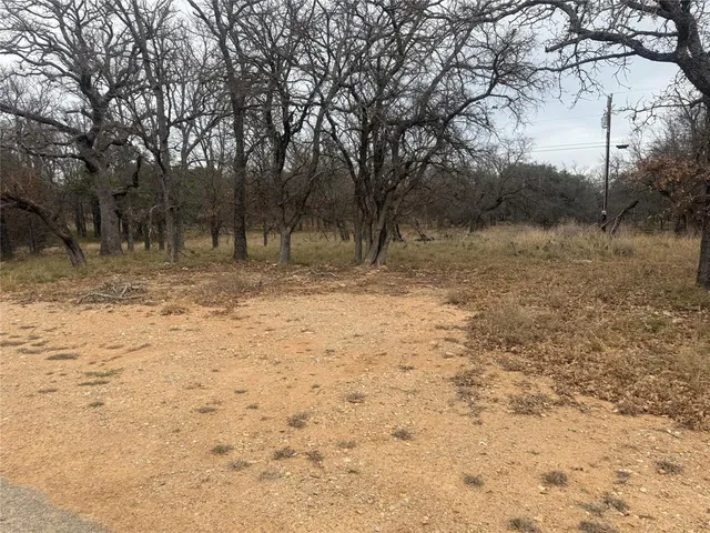 a view of dirt yard with a large tree