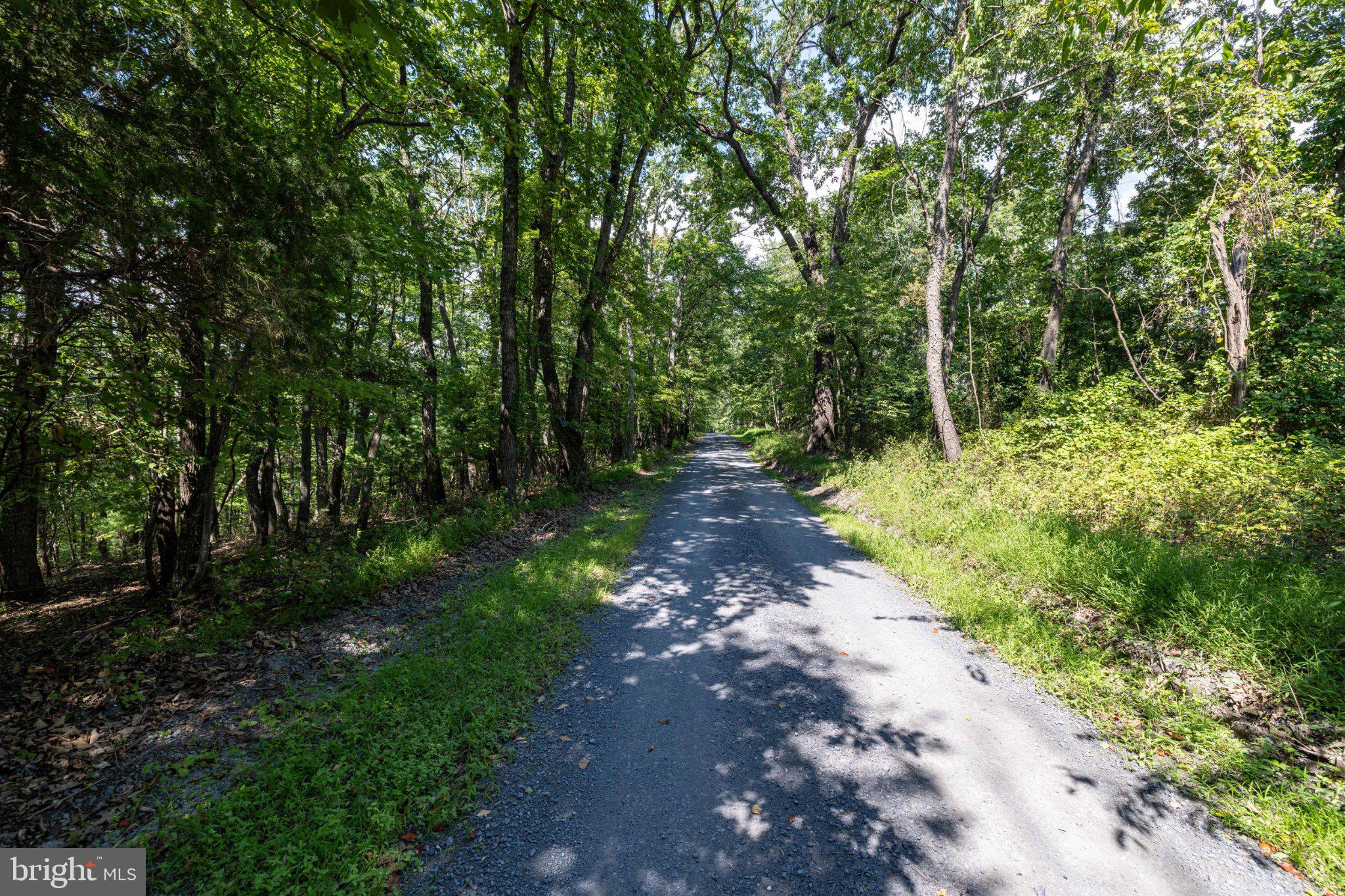0 Supinlick Ridge Road Mount Jackson, VA 22842 - Photo 10 of 33 Gallery Image 10
