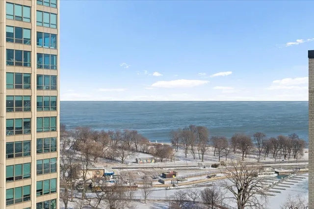 $295,000 | 525 West Hawthorne Place, Unit 2008, Chicago, IL 60657