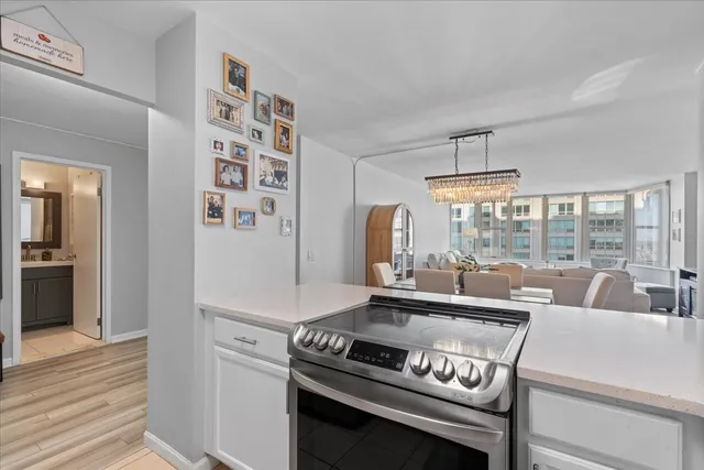 $295,000 | 525 West Hawthorne Place, Unit 2008, Chicago, IL 60657