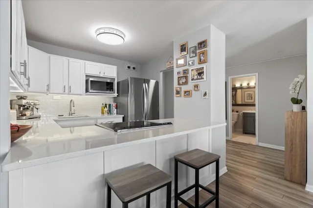 $295,000 | 525 West Hawthorne Place, Unit 2008, Chicago, IL 60657