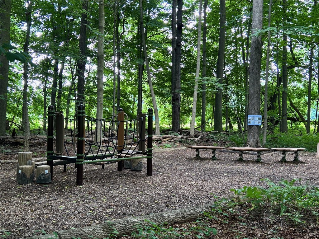 191 Southend Square Henrietta, NY 14586 - Photo 44 of 46