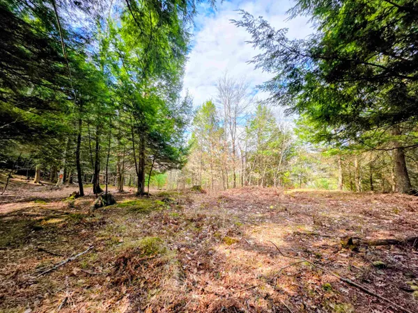 $425,000 | 440 Stapelfeld Drive, Ryegate, VT 05081
