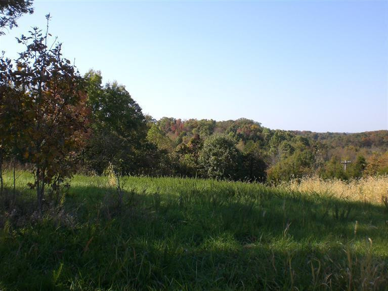 5 Clay Burgin Road Lawrenceburg, KY 40342 - Photo 8 of 9 Photo 8