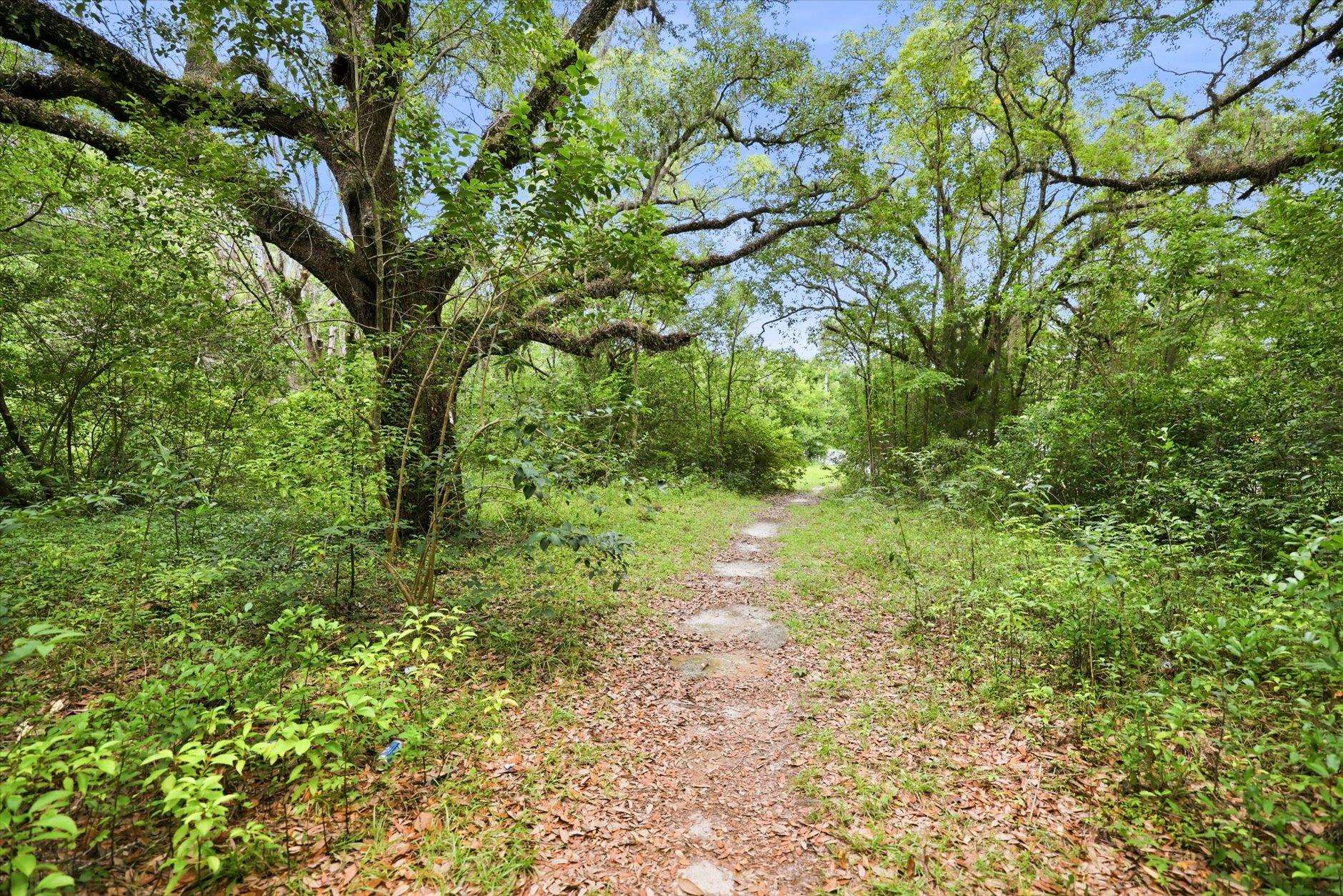 1612 Old Bainbridge Road Tallahassee, FL 32303 - Photo 4 of 43