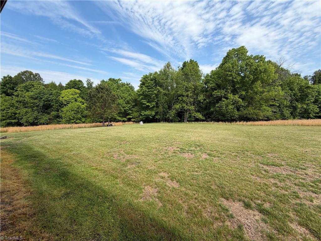 202 Roby Fulk Road Pinnacle, NC 27043 - Photo 38 of 49 Gallery Image 38