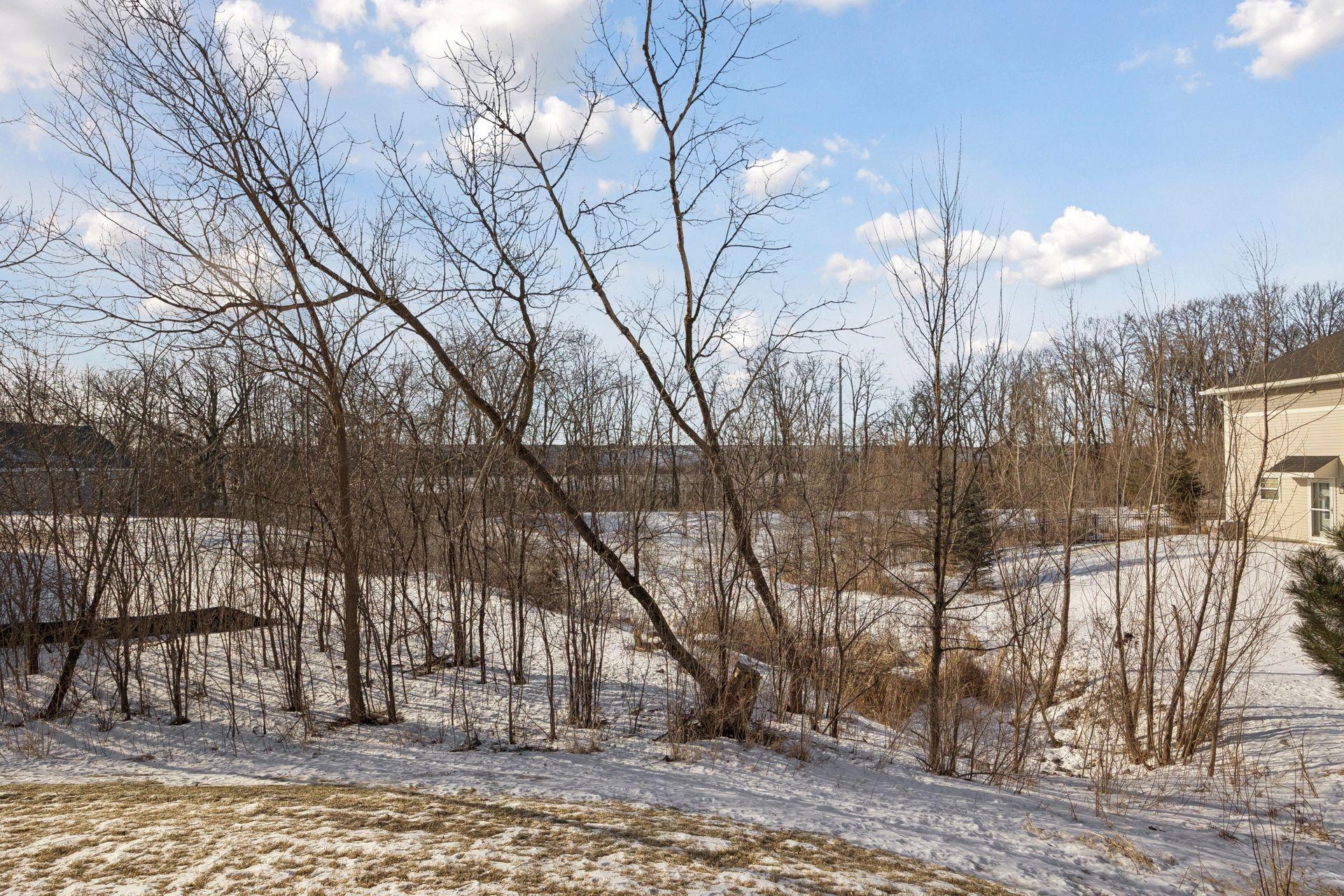 13873 102nd Place North Maple Grove, MN 55369 - Photo 48 of 56