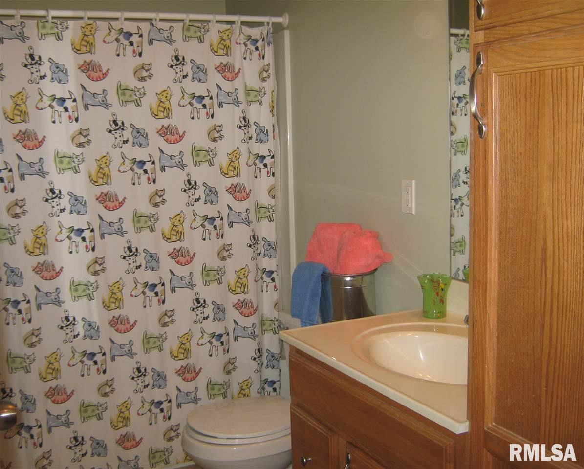 1520 Redbird Ridge Drive Metamora, IL 61548 - Photo 19 of 34