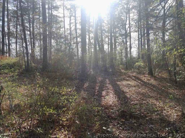6245 Cliffdale Road Fayetteville, NC 28314 - Photo 6 of 11 a view of a forest with lots of bushes
