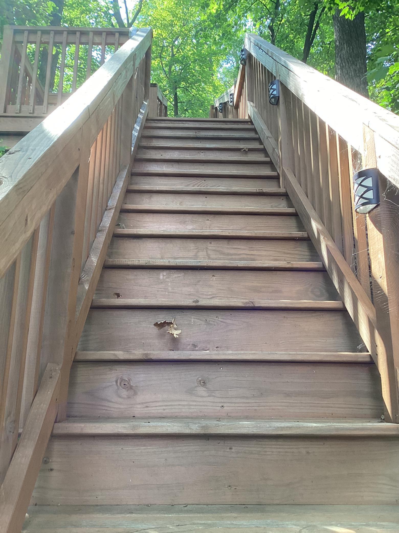 14275 Schuelke Beach Road Northwest Miltona, MN 56354 - Photo 13 of 53