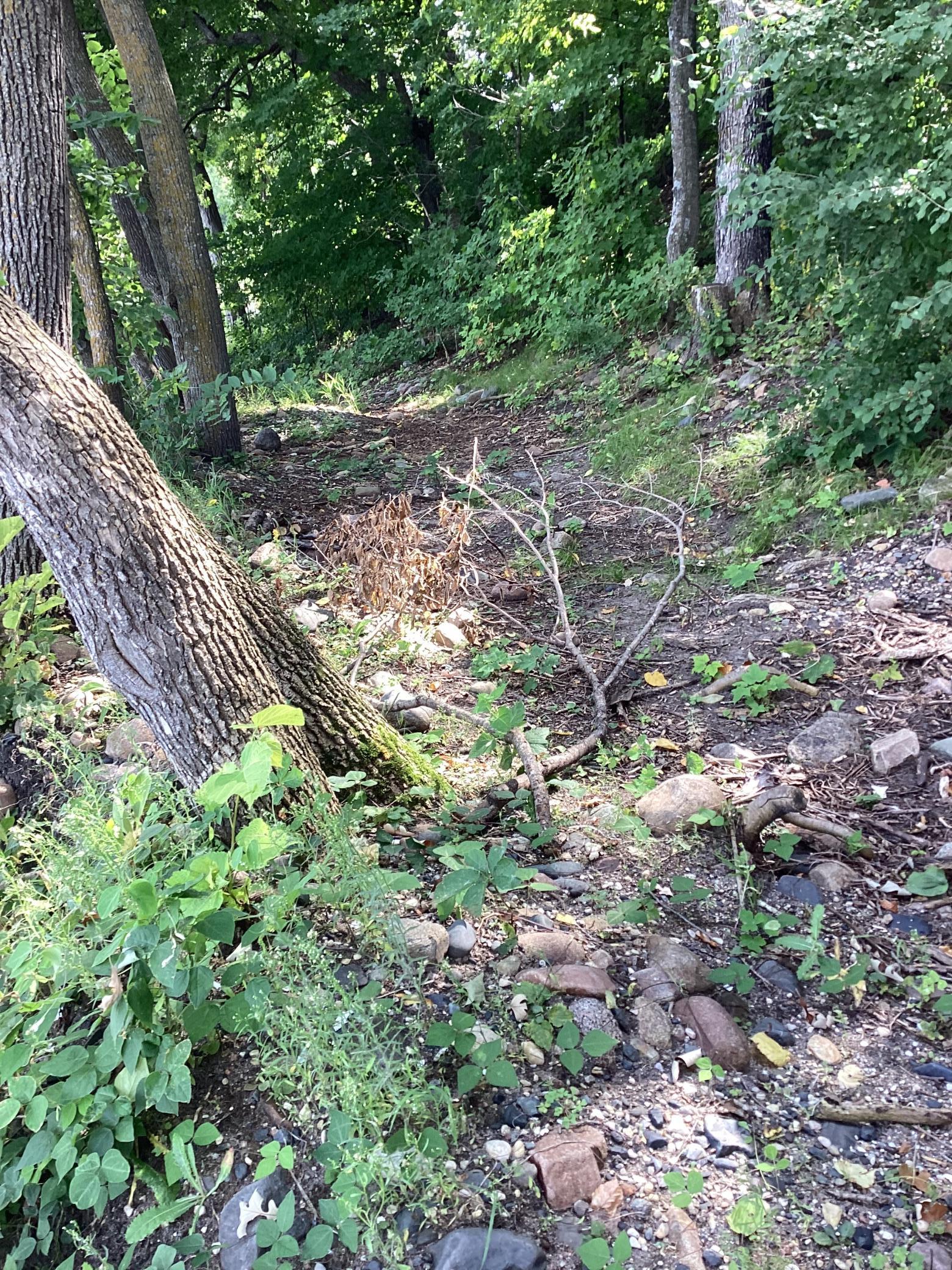 14275 Schuelke Beach Road Northwest Miltona, MN 56354 - Photo 21 of 53