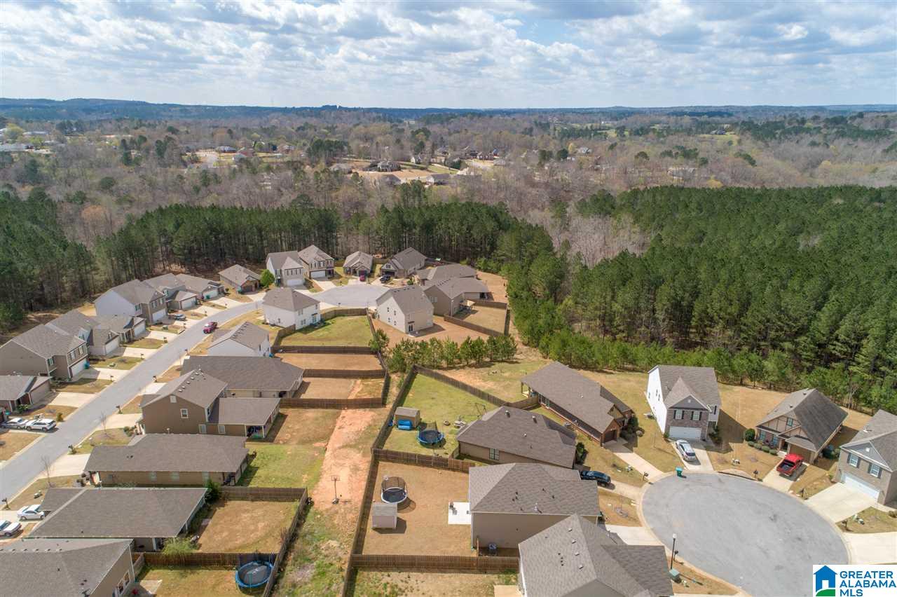 406 Reed Way Kimberly, AL 35091 - Photo 37 of 43