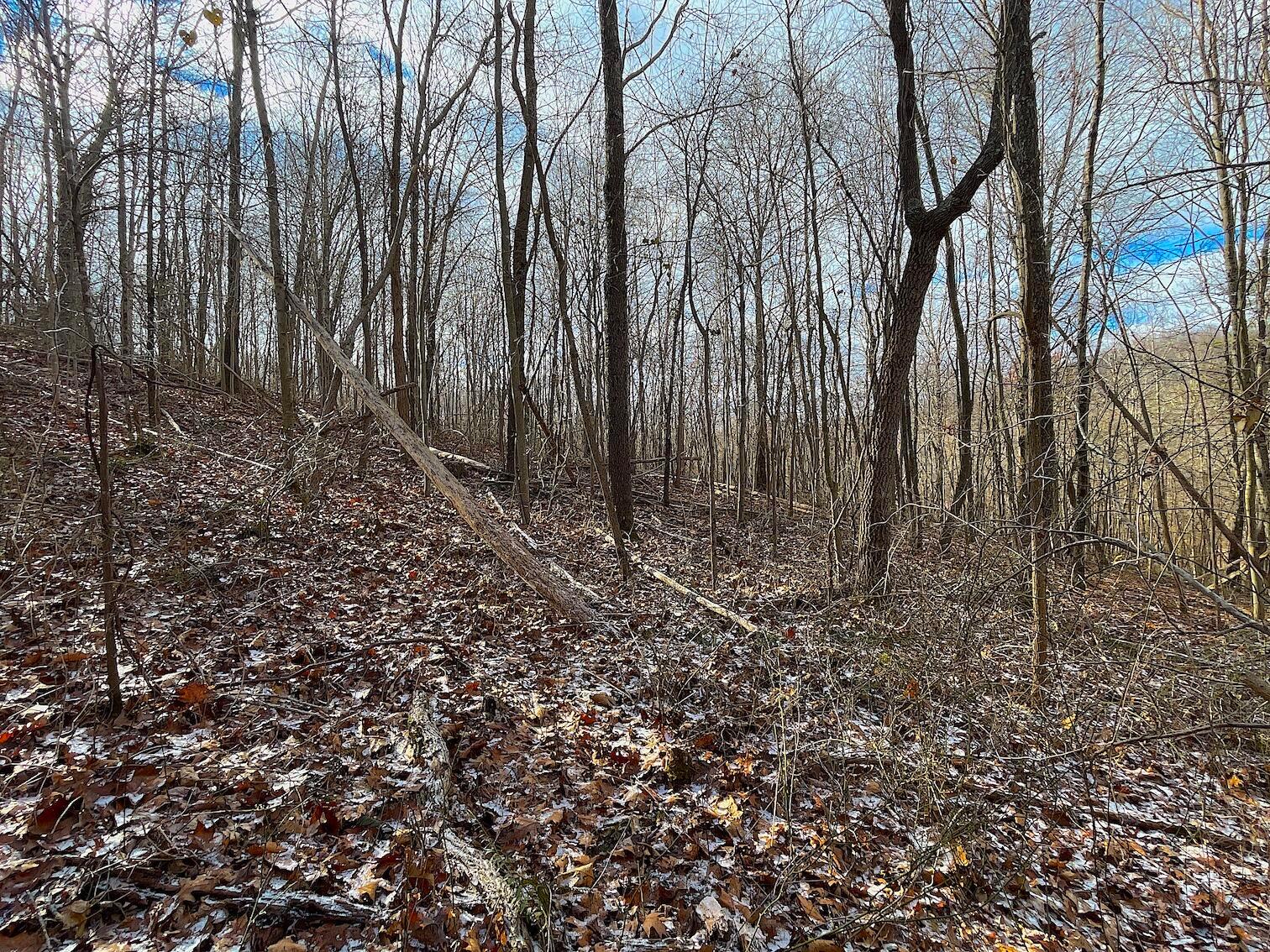 0 Hunting Run Road Lucasville, OH 45648 - Photo 7 of 39 IMG_0538