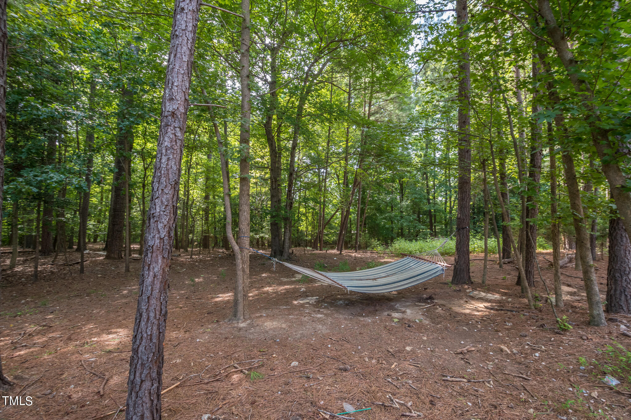 2230 Valley Edge Drive, Unit 105 Raleigh, NC 27614 - Photo 19 of 24 Woods - 2230-105 Valley Edge Dr-1