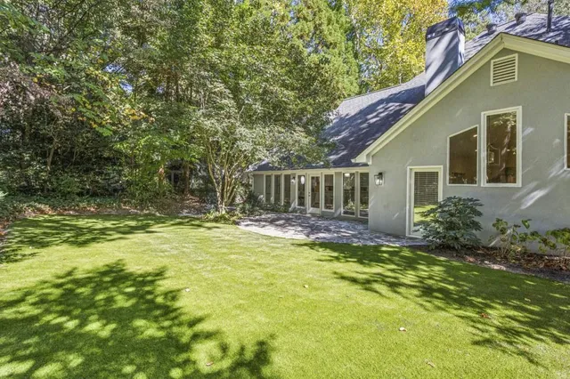 a view of a yard with plants and trees