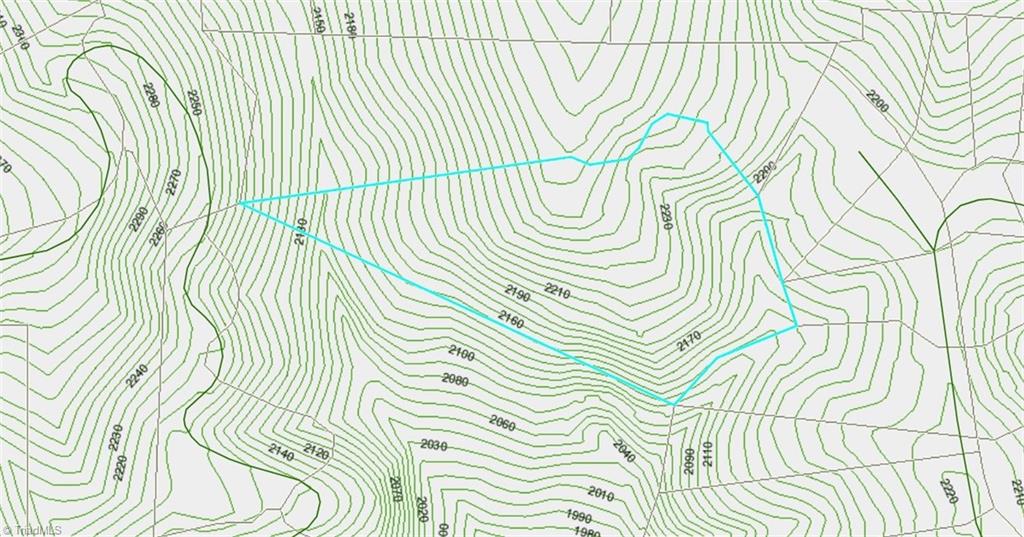 Lot 126 Pepper Bush Road Purlear, NC 28665 - Photo 3 of 28 Topo Map Lot 126 Pepper Bush Rd
