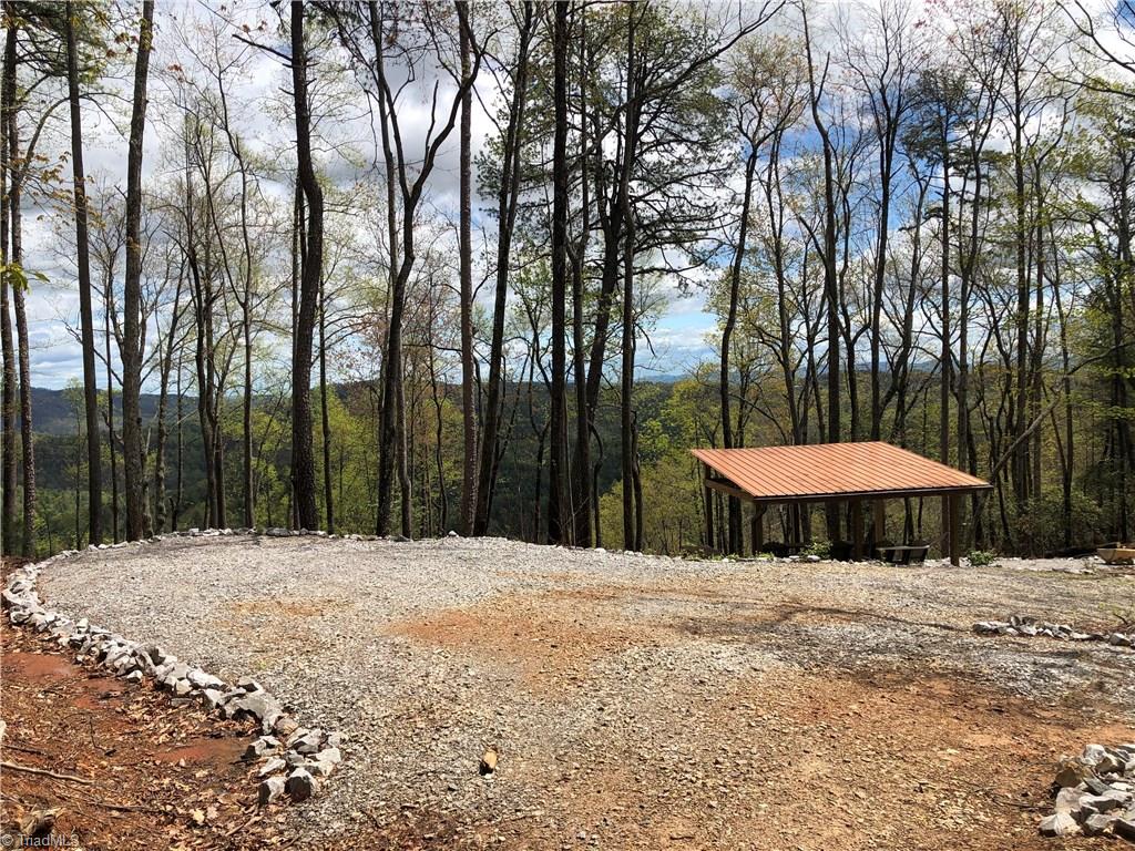 Lot 126 Pepper Bush Road Purlear, NC 28665 - Photo 23 of 28
